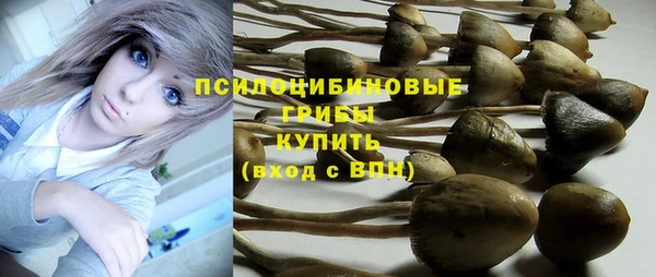первитин Белоозёрский